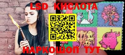 спайс Кинель