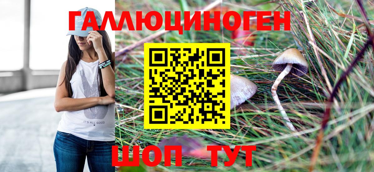 Лесосибирск  Галлюциногенные грибы мицелий  Псилоцибиновые грибы Cubensis  продажа наркотиков  Вход с VPN 